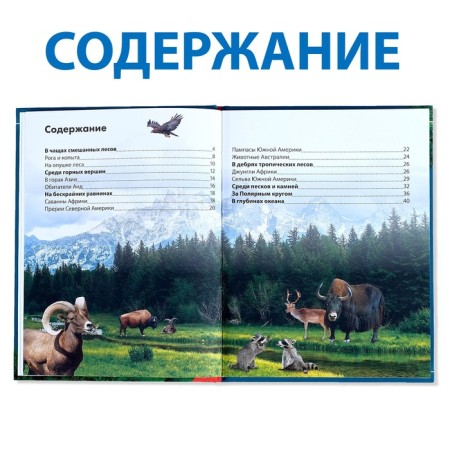 Children's Encyclopedia in solid binding "Animals", 48 p.-2