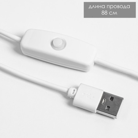 Table lamp "Cylinder" LED 5W USB 12x12x24 cm Risalux-5