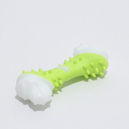 Two -layer toy (hard and soft plastic) "bone", 12 cm, green-1