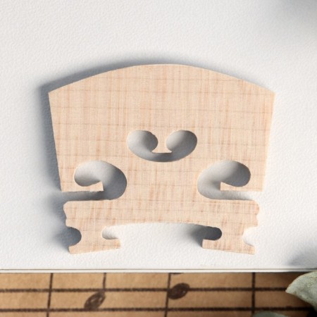 Strong standing violin Music Life 1/4-2