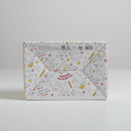 Box - Penal, Gift packaging, “Dance!”, 22 x 15 x 10 cm-2