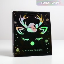 Packet Holography Vertical 