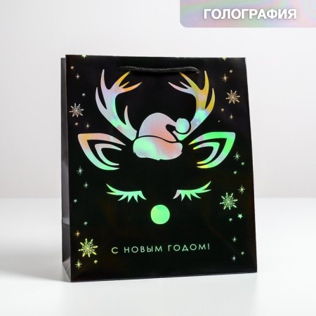 Packet Holography Vertical "New Year", Ml 23 x 27 x 11.5 cm, New Year