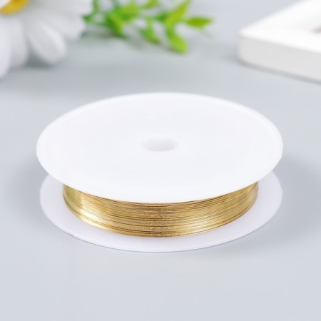 Wire for creativity "Astra" 0.25 mm, 10 m, gold-1