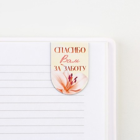 Magnetic bookmarks on the substrate “Dear Educator”, 6 pcs.-4