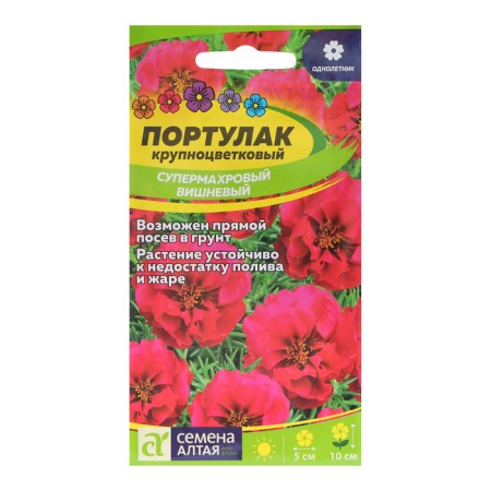 Flower seeds of the purslane "Superman", cherry, seed. Alt, c/p, 0.1 g