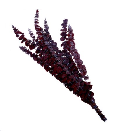 Sukhotzet "eucalyptus tree", red, 10 pcs. packaged-4