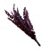 Sukhotzet "eucalyptus tree", red, 10 pcs. packaged