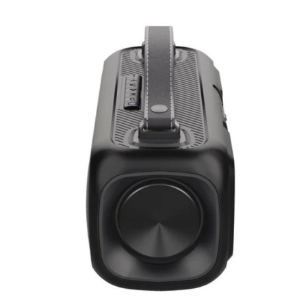 Portable acoustics Perfeo (PF_D0053) L.E.D FM, MP3 USB, AUX, TWS, LED, 14 W, 2200 MAH-3