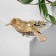 Brooch "Bird" baby on a branch, colored in gold