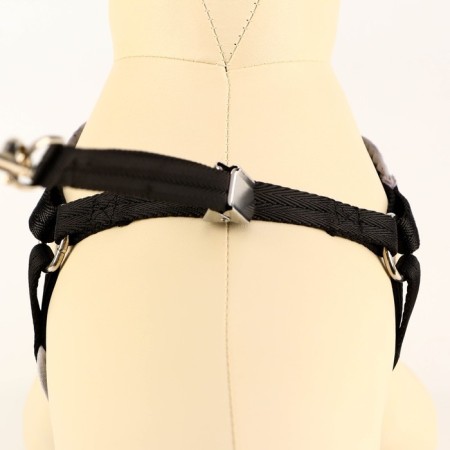 The set is soft slopes, a leash 120 x 1 cm with a swivel, s, Osh 26-67 cm, og 26-67 cm, black-3