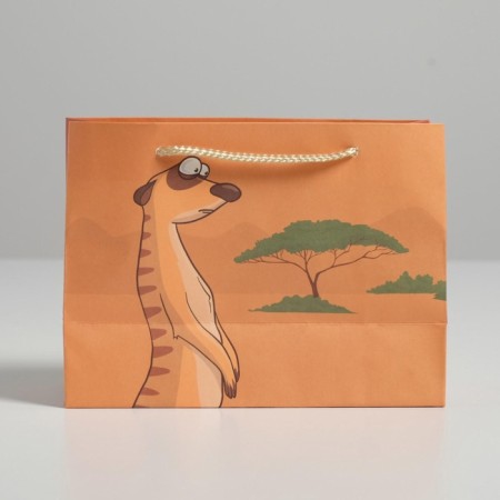Gift package, packaging, Don Not Worry, 14.5 x 19.5 x 8.5 cm-4