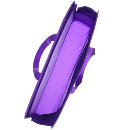Plastic folder with A4 handles, on a zipper, 80x330x240 mm, cold heart-1