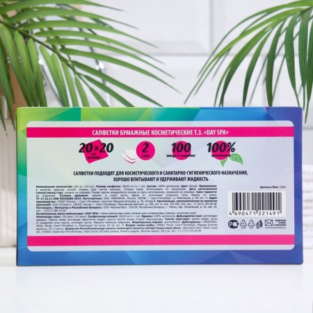 Cosmetic napkins Day spa 2-layer 100 pcs-1