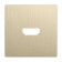 HDMI WL10-HDMI-CP socket overlap, rympanic champagne color