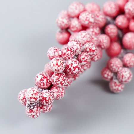 Decor for creativity a twig "frosty red berries" 9 cm-2