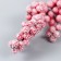Decor for creativity a twig "frosty red berries" 9 cm