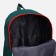 A backpack with a zipper, an outer pocket, a set of a chover, bag, green color