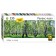 Puzzle "Birch", 133 elements