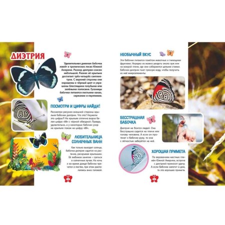 Butterflies. Children's Encyclopedia-8