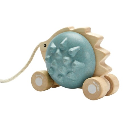 Plan Toys Catcam "Hedgehog"