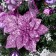 Christmas tree decor "Winter Forest" 50 cm, lilac