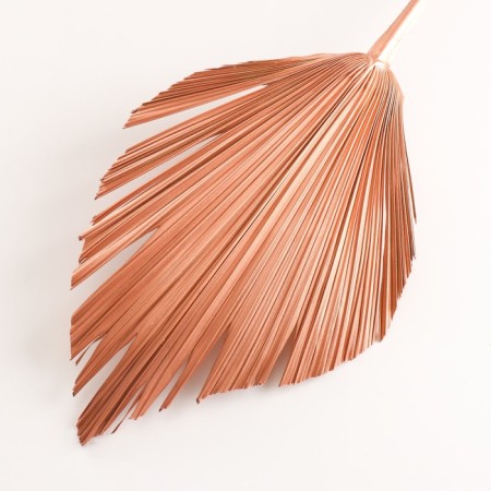Washingtonia Palm sheet "Peak" 50-60 (+/- 6 cm), 1 pc, col. Copper metallic-2