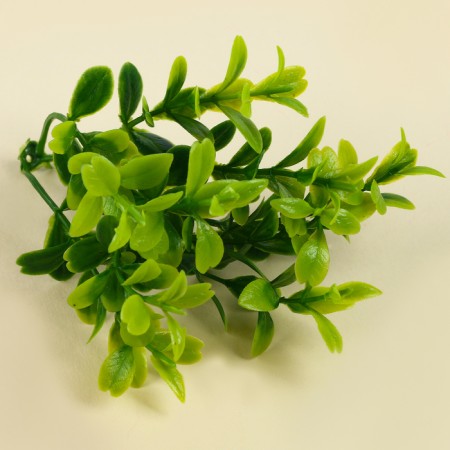 A branch of greens, size 1 pc. - 10 × 4 × 4 cm, set - 3 pcs.-2