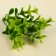 A branch of greens, size 1 pc. - 10 × 4 × 4 cm, set - 3 pcs.