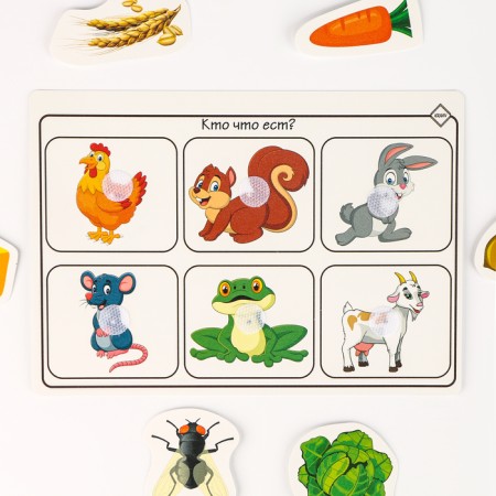 A set of developing Velcro games "I am studying the world"-5