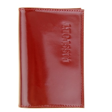 Cover for passport, red color