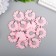 Decor for creativity Plastic "Chamomile" set 12 pcs mix 2.5x2.5 cm