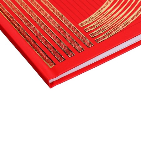 Universal diary for grades 1-11 gold on red, hard cover, matte lamination, 3D foil, 40 sheets-2