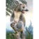 The book of disappeared animals. Biobook Tolmacheva A.