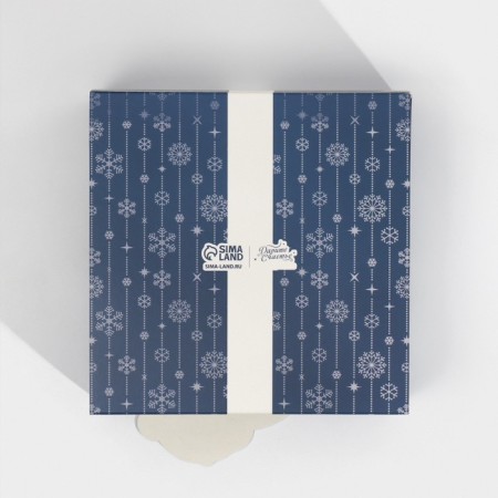 Folding box "Penguin", 15 x 15 x 8 cm, new year-4