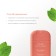 Haan's oral spray “Fragrant tea and mint”, with prebiotics, without alcohol, 20 ml