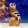Garden figure "Owl on the stump" 28cm