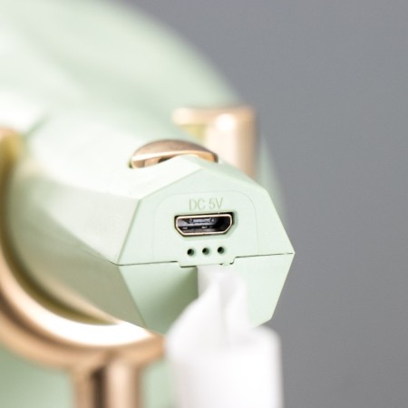 Delser table lamp LED 3W USB AKB Green 14x13x39 cm Risalux-11