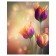 Pillow Golk "Morning with tulips, decorative, size 16x45 cm