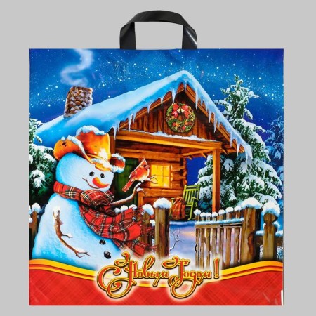 Package "Winter Guest", polyethylene with a loop pen, 44 x 44 cm, 70 μm