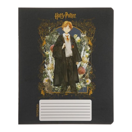 Notebook of 12 sheets in the Harry Potter cage, covered cardboard, OFSET block 65, 5 species mix-2