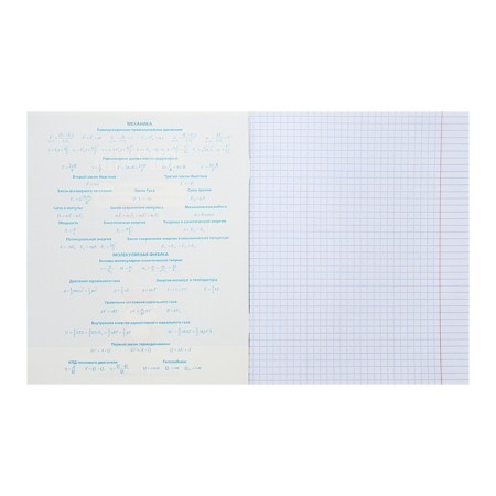 Notebook “Notebook”, 48 sheets in the “Physics” cage, covered cardboard, selective varnish, with reference material-1