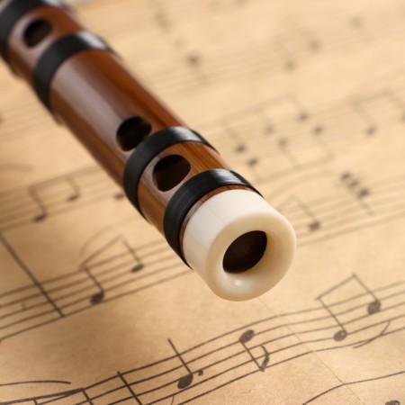 Music Life 48 cm, bamboo, tonality g-2