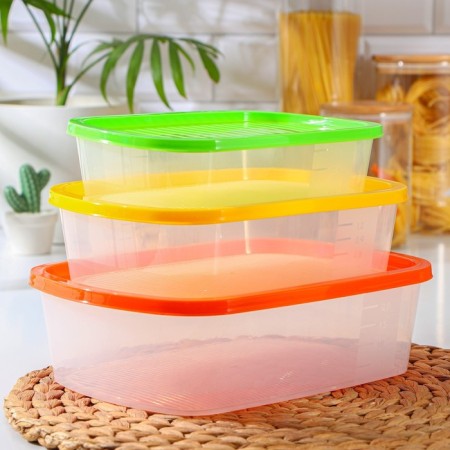 A set of food containers "Biofresh", 3 pcs: 1 l, 1.6 l, 2.3 l, color mix