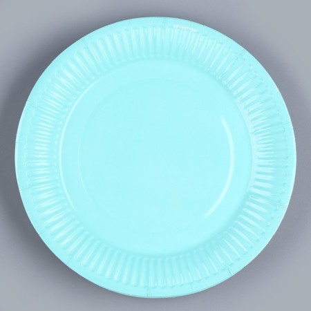 Disposable dishes: paper plate "mint", plain, 18 cm-1
