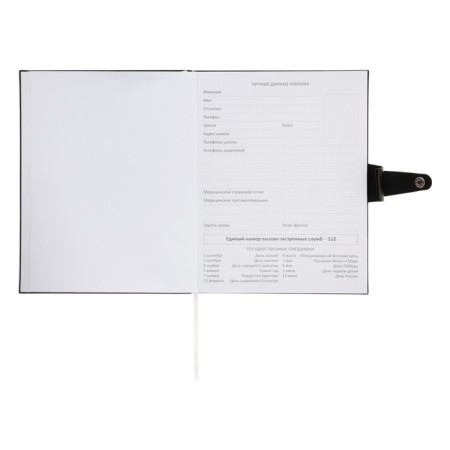 Universal diary for grade 1-11 Favourite. Black, soft cover, artificial leather, foil embossing, liesse, 80 g/m2-9