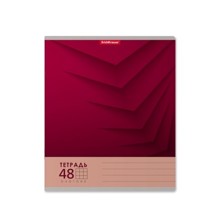 Student notebook 48 sheets in the Erichkrause Duotone Next cell, mix-6