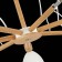 Ceiling EVOLUCE lamp. Sle103802-07. Balcamo. 7x60 watts, E27, 75x75x45 cm, color light wood, white