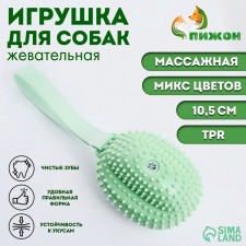 Toy Massage Pigor for Dogs 