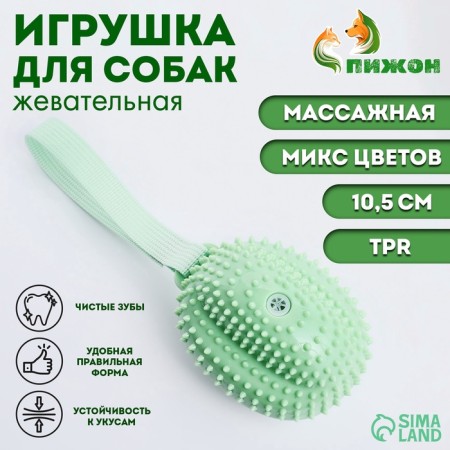 Toy Massage Pigor for Dogs "Fruit", 10.5 cm, TPR, mix of flowers